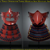Basic Tengu Options for Taisho Menpo by Iron Mountain Armory